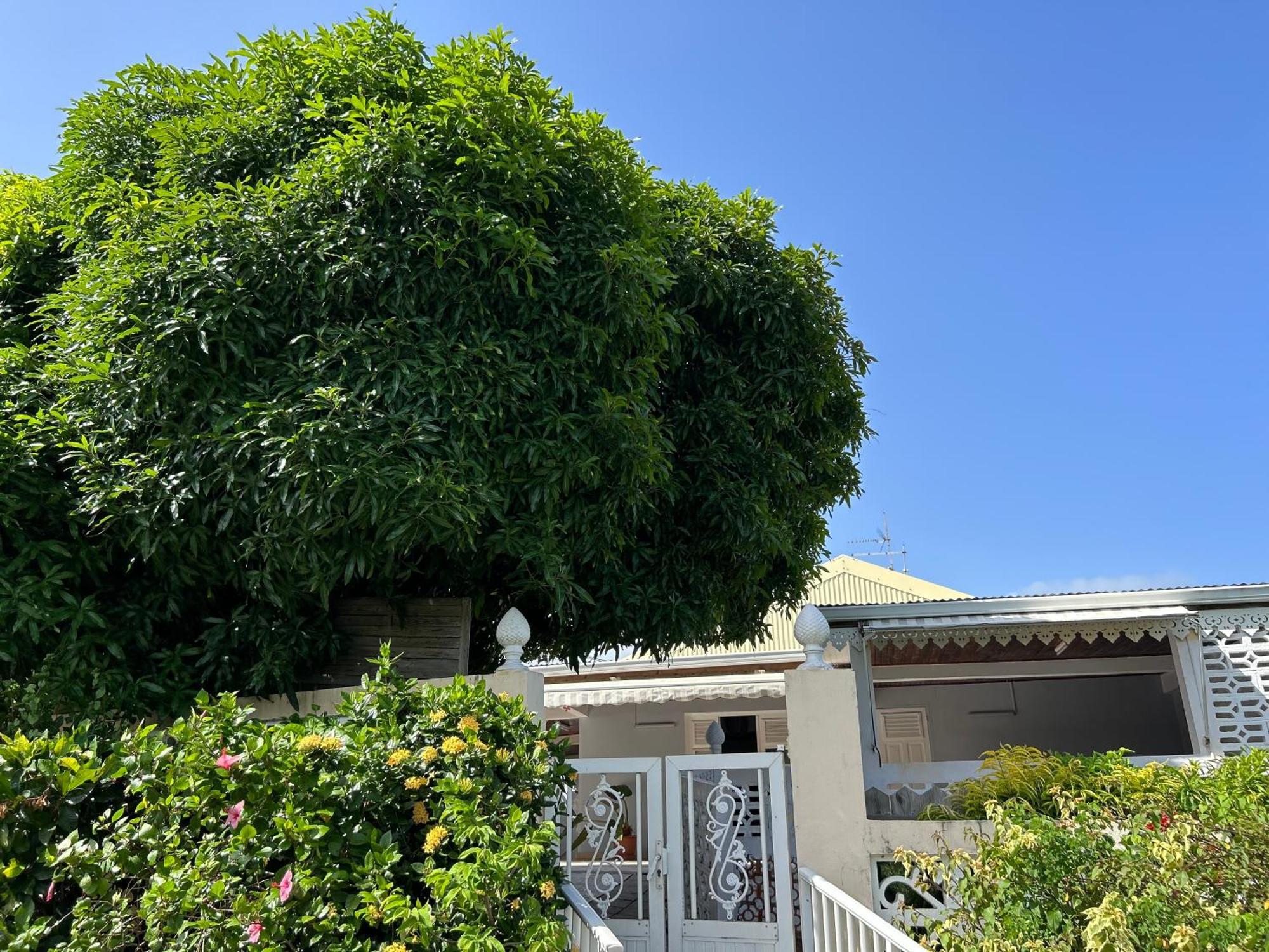 Villa A Louer A Sainte-Anne En Martinique Ngoại thất bức ảnh